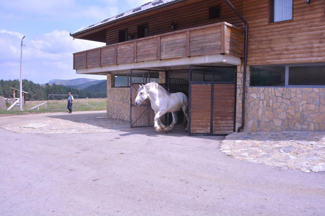 Hotel Borovi Forest Resort & Spa Sjenica Exterior photo